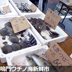 鳴門ウチノ海新鮮市