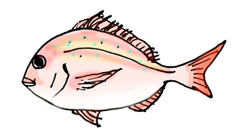 魚の絵