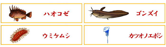 危険な魚