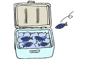 魚のしめ方